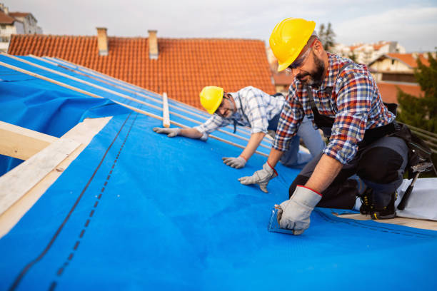 Best Roof Gutter Cleaning  in West Siloam Springs, OK
